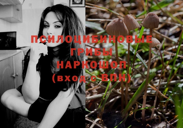 каннабис Алексеевка